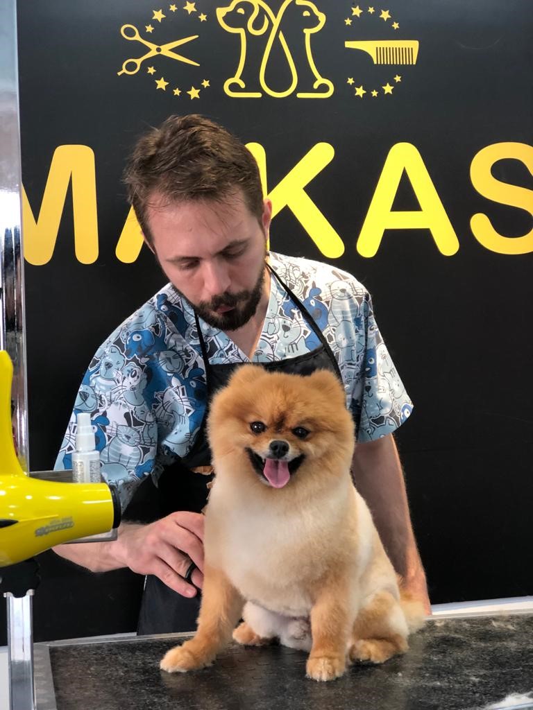 Etiler Makas Pet Kuaför